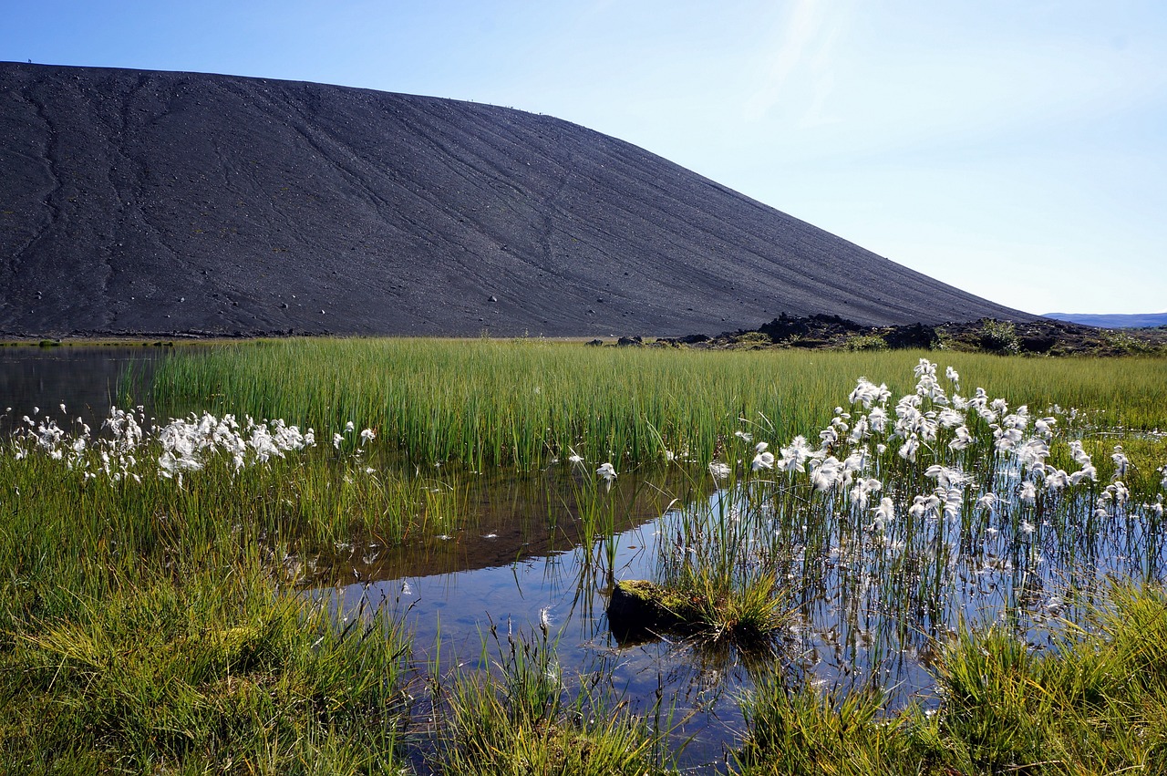 The Untamed Beauty of Iceland’s Hornstrandir Nature Reserve